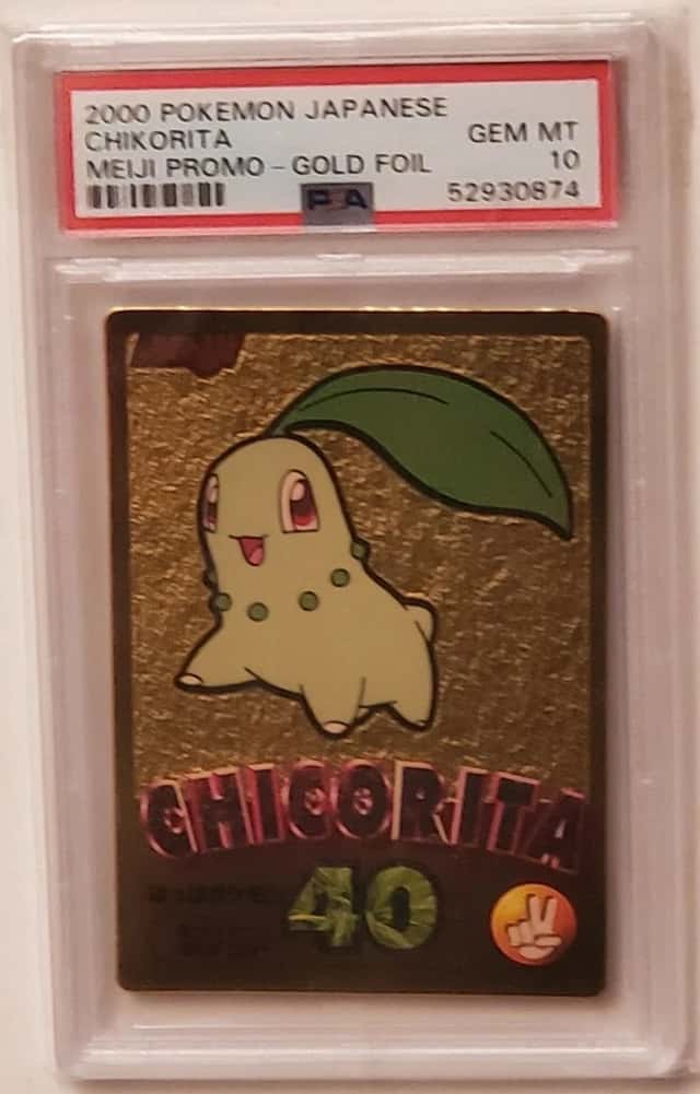 Chikorita