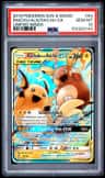 Raichu & Alolan Raichu Gx