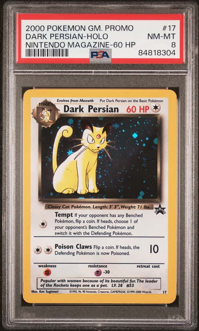 Dark Persian