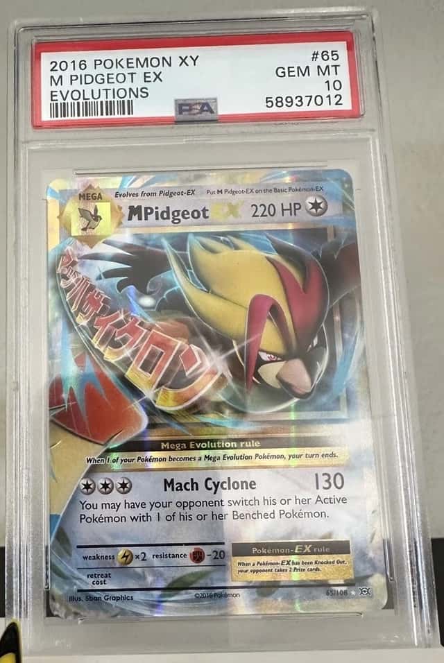 M Pidgeot EX