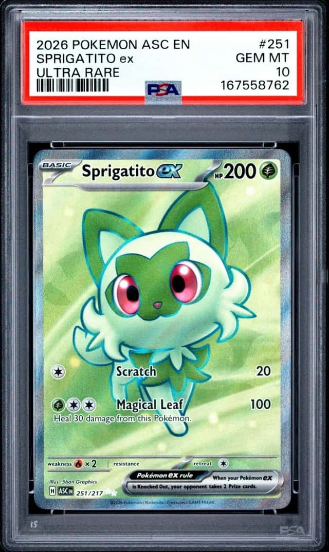 SPRIGATITO ex