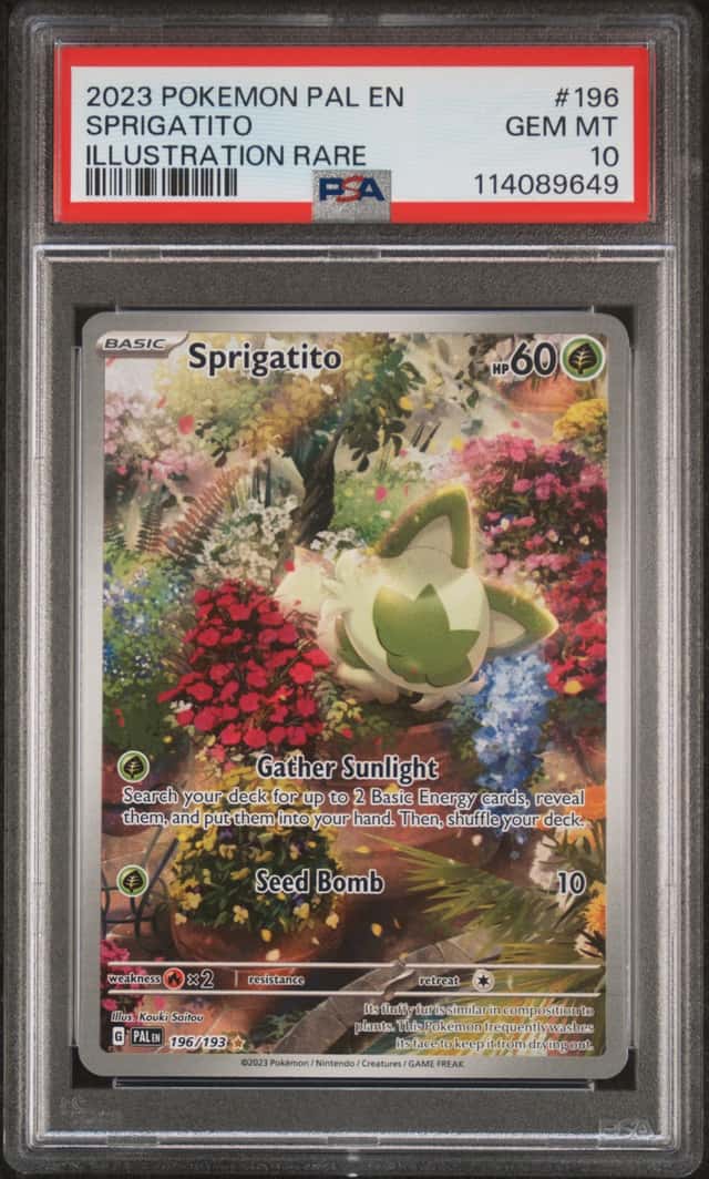 Sprigatito