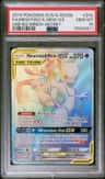 Mewtwo & Mew Gx