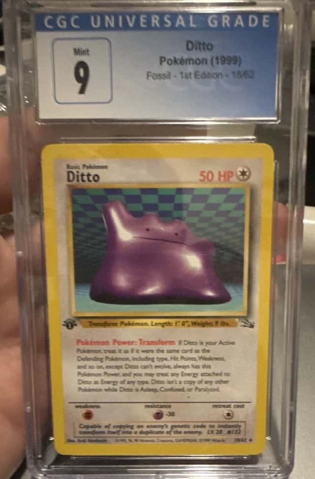 Ditto