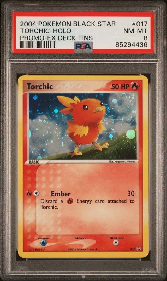 Torchic