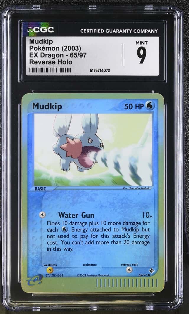 Mudkip