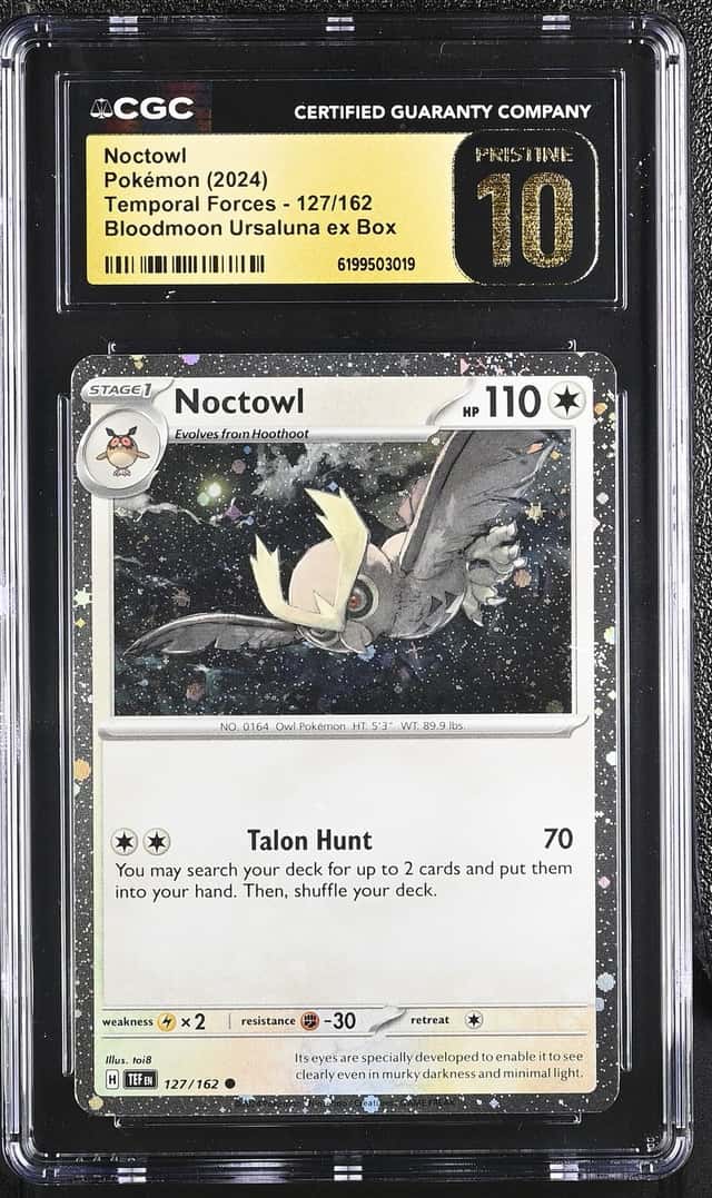 Noctowl