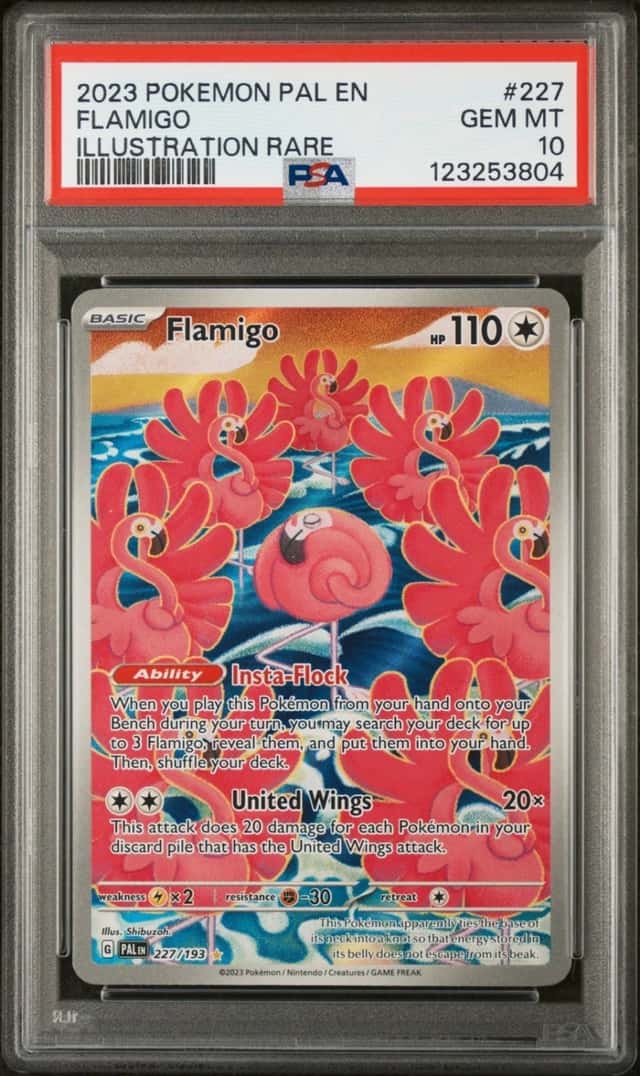 Flamigo