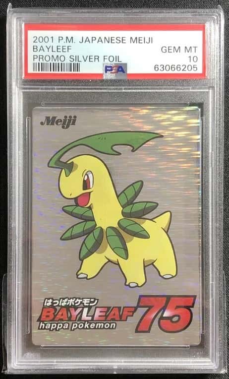 Bayleef