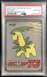 Bayleef