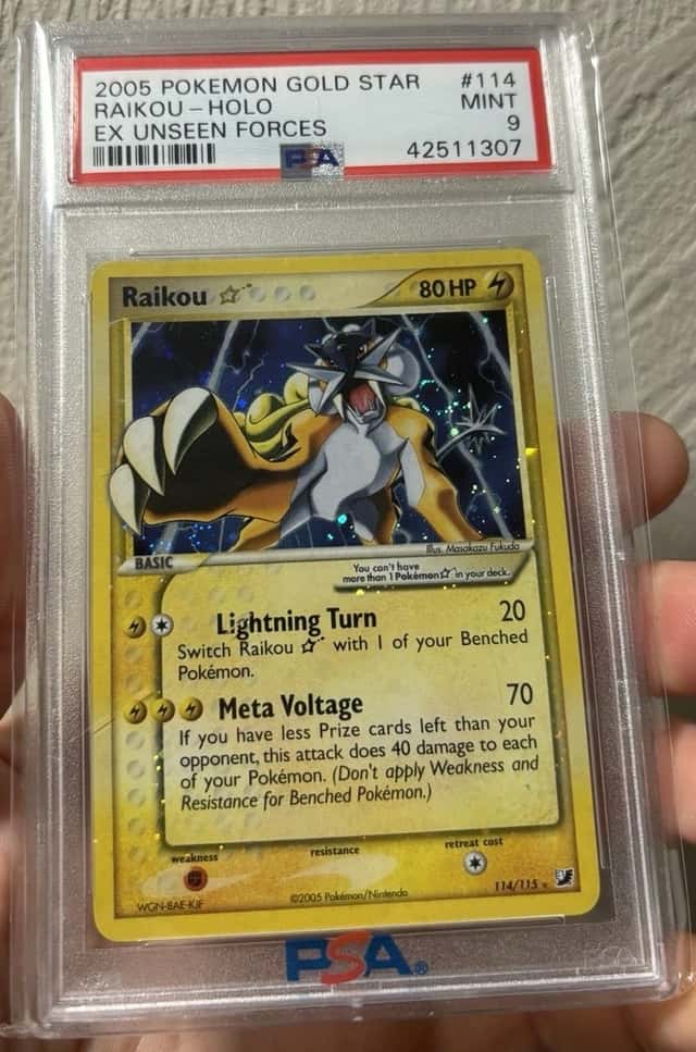 Raikou