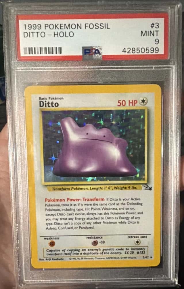 Ditto