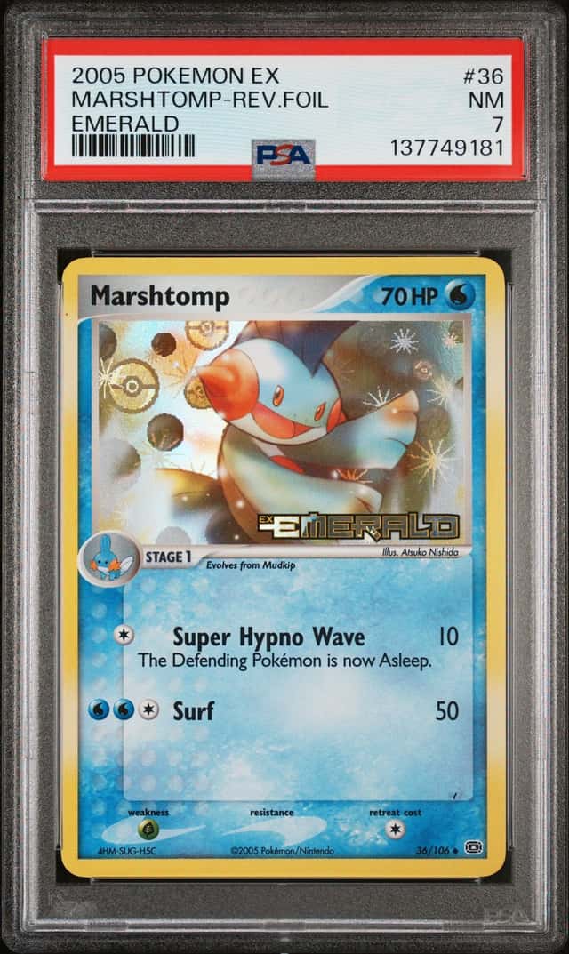 Marshtomp