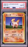 Ponyta