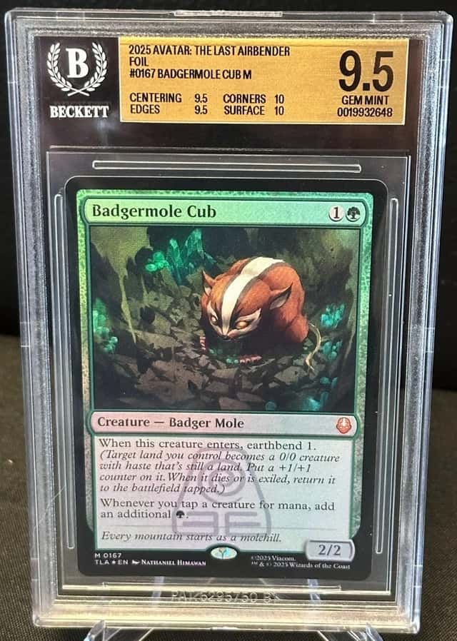 Badgermole Cub