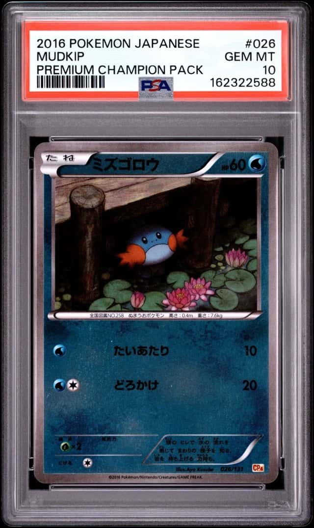Mudkip