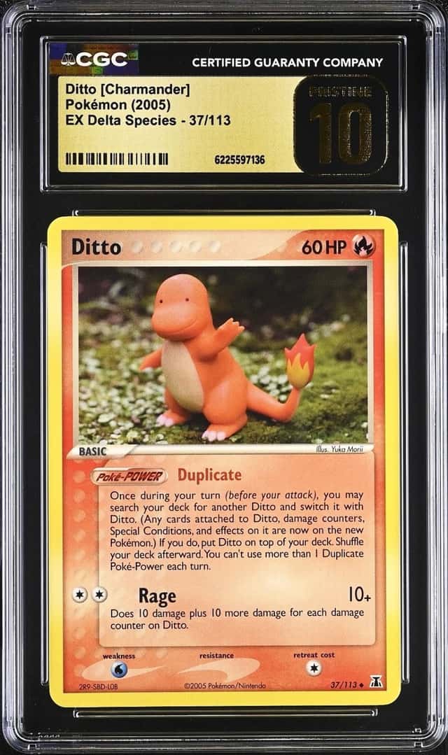Ditto [Charmander]
