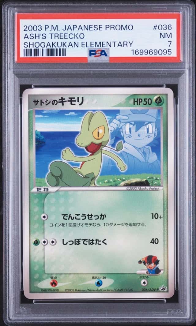 Ash's Treecko