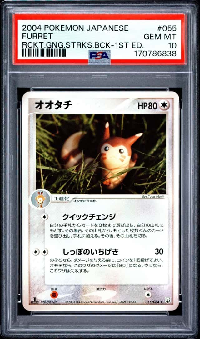 Furret