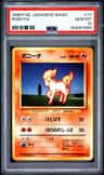 Ponyta