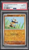 Cubone