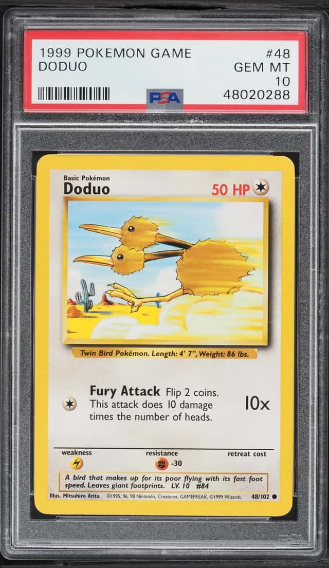 Doduo