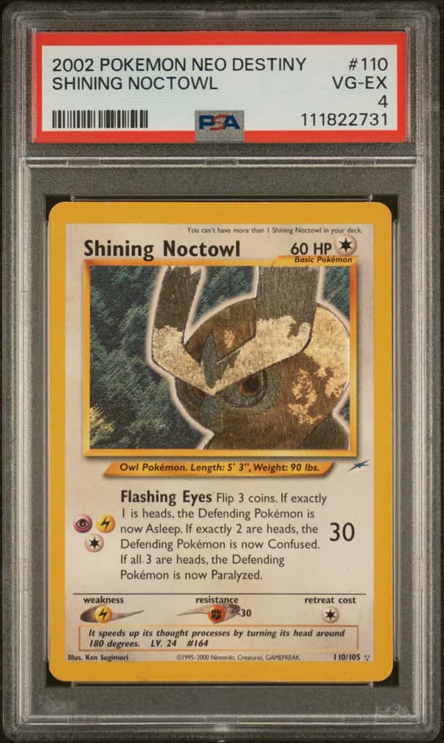 Shining Noctowl