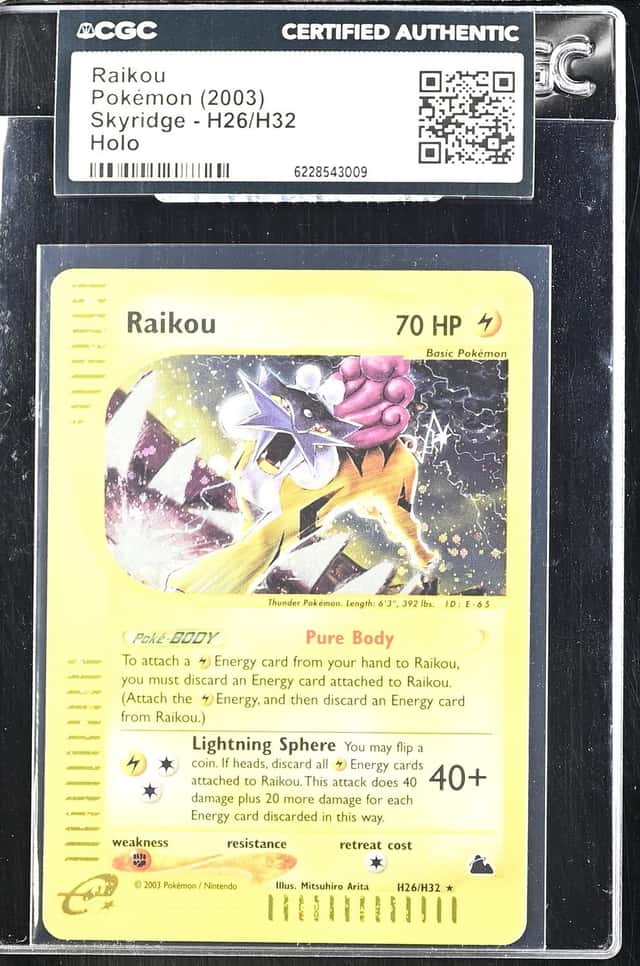 Raikou