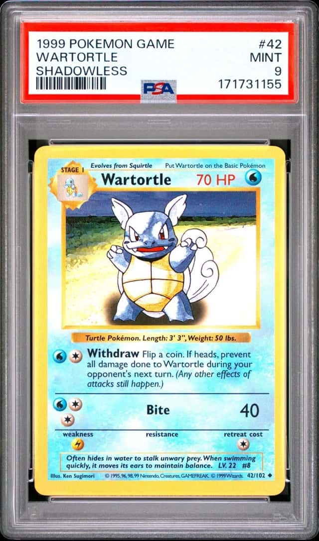 Wartortle