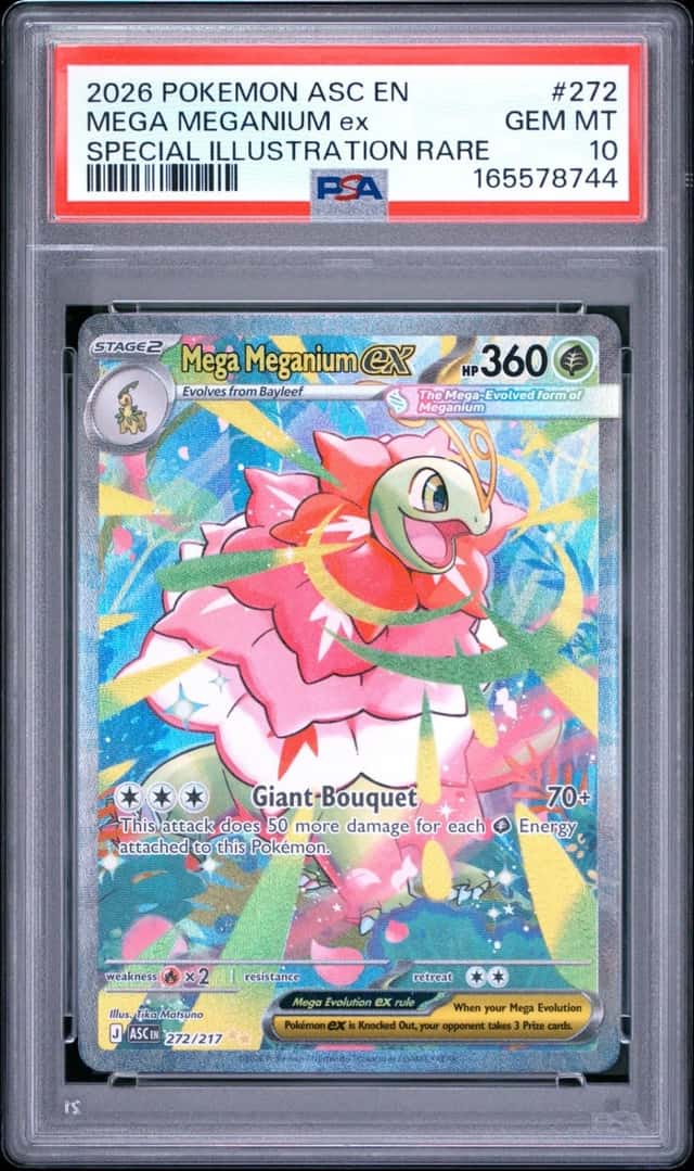 MEGA MEGANIUM ex