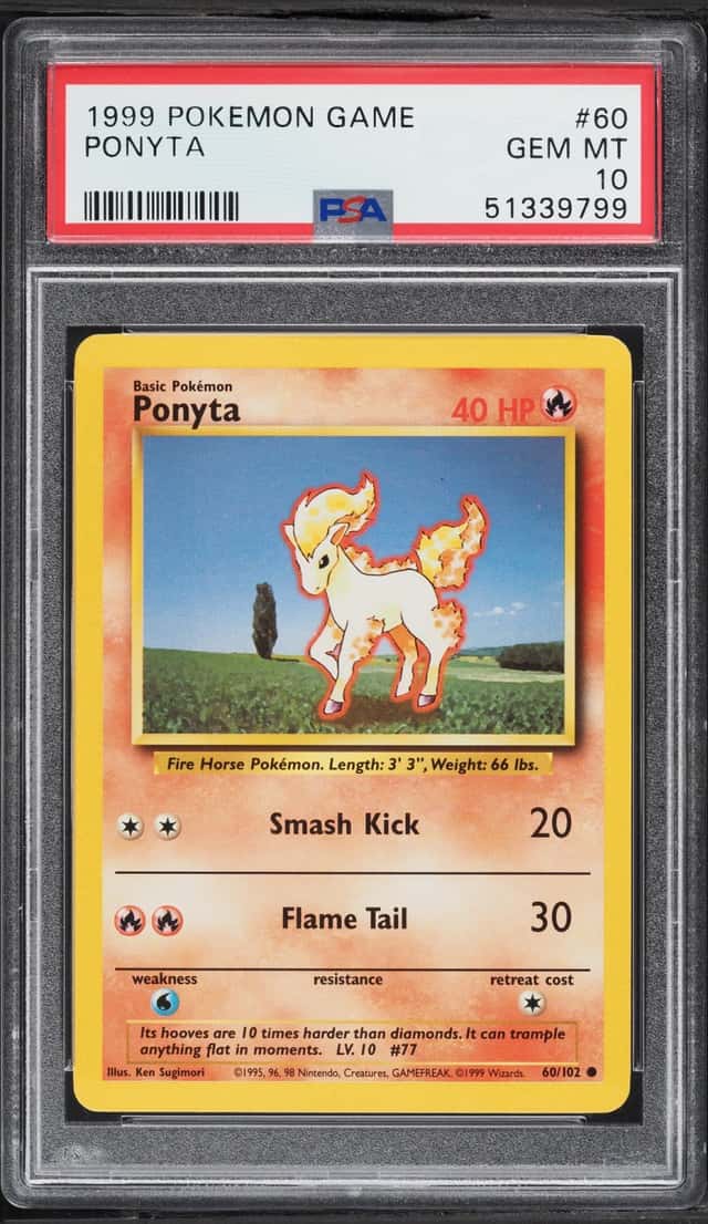 Ponyta