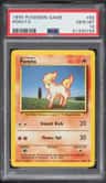 Ponyta