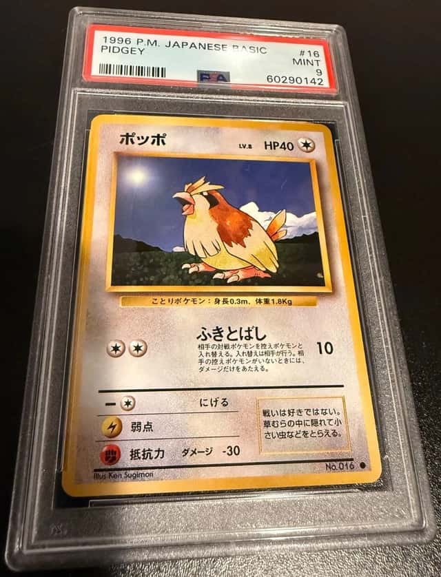 Pidgey