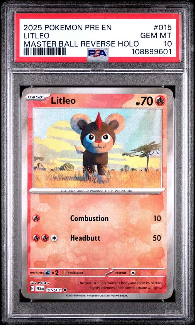 Litleo