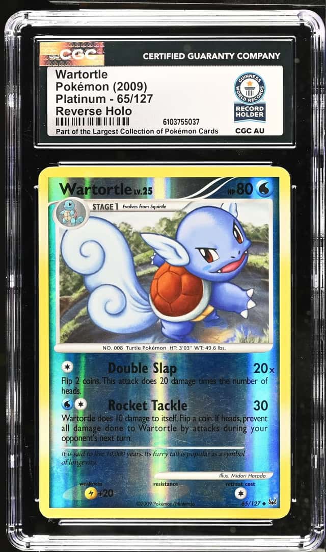 Wartortle