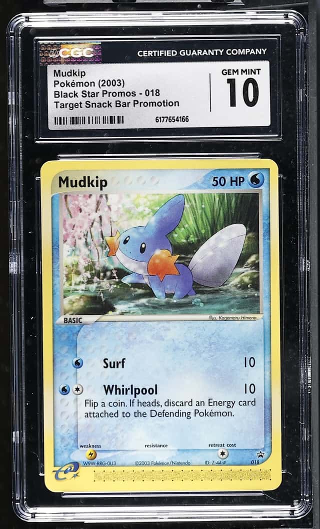 Mudkip