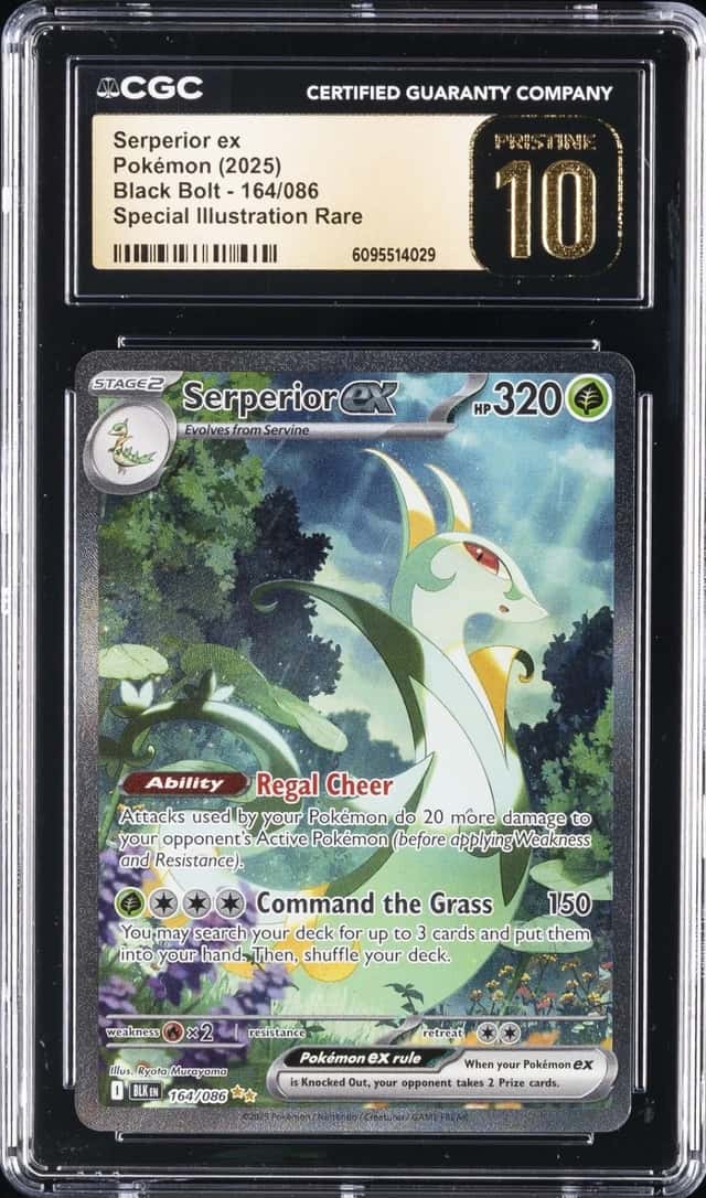 SERPERIOR ex