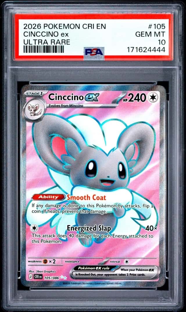 Cinccino ex