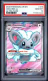 Cinccino Ex