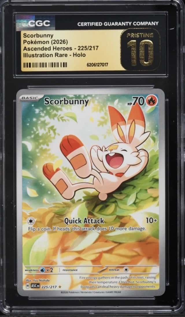 Scorbunny