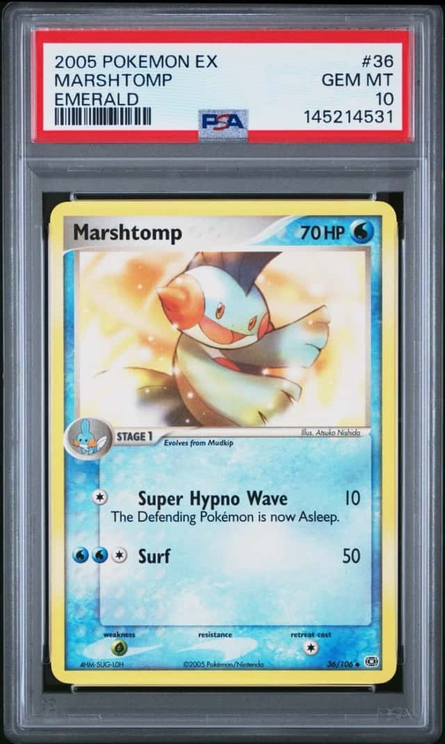 Marshtomp