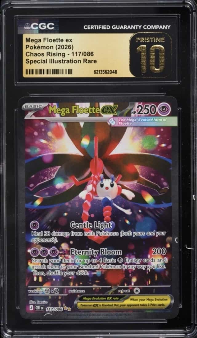MEGA FLOETTE ex