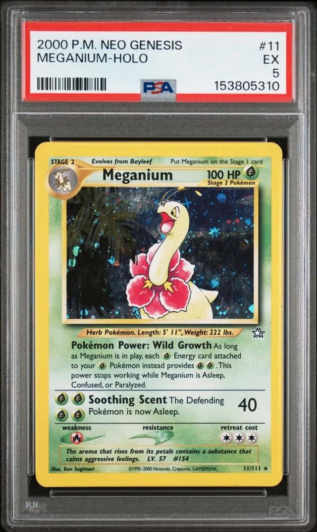 Meganium