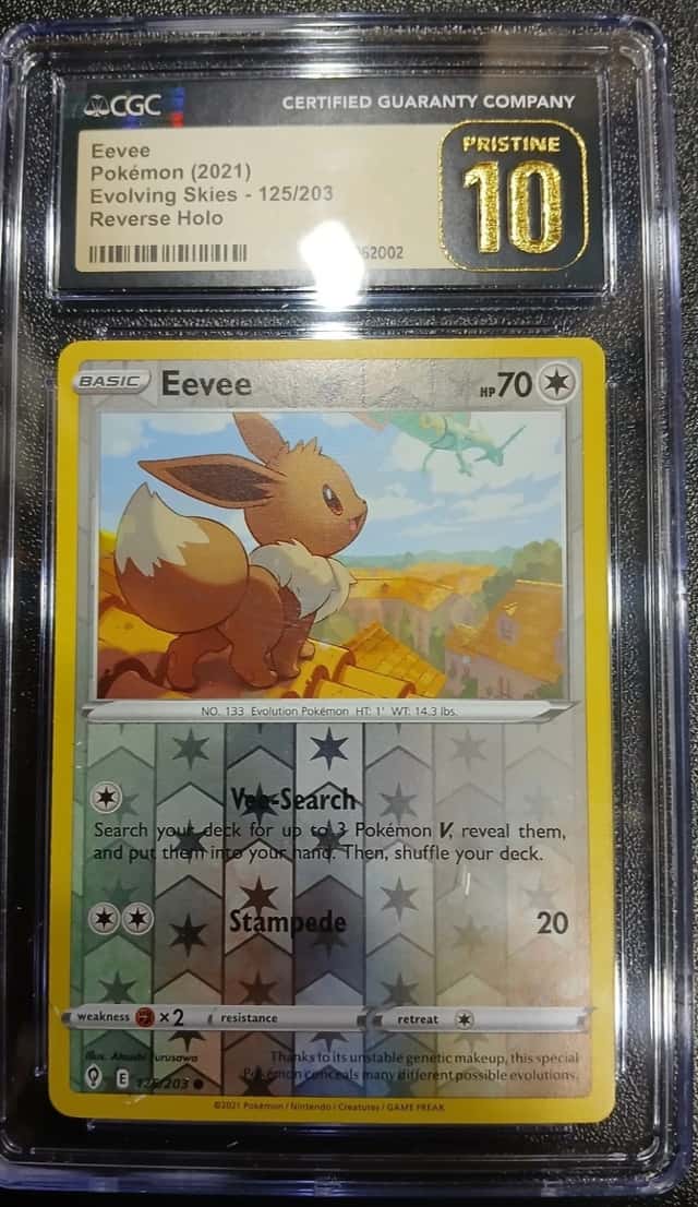 Eevee