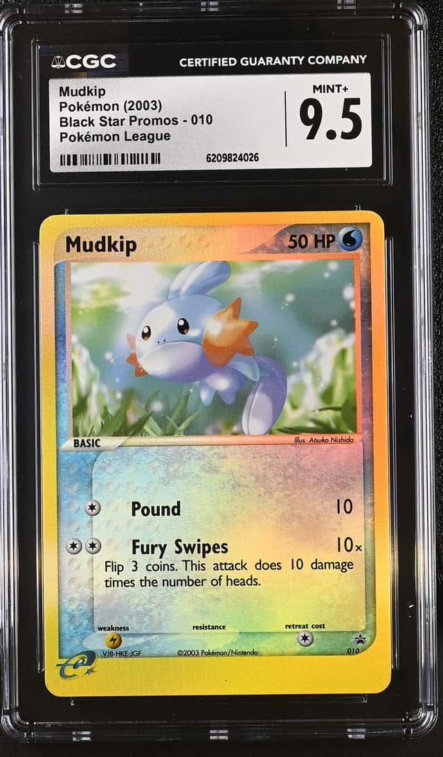Mudkip