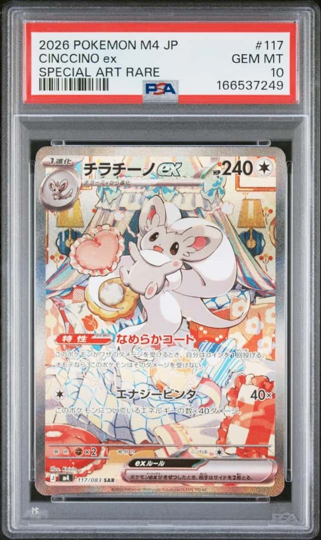 CINCCINO ex