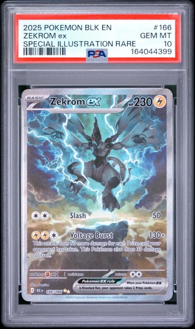 ZEKROM ex