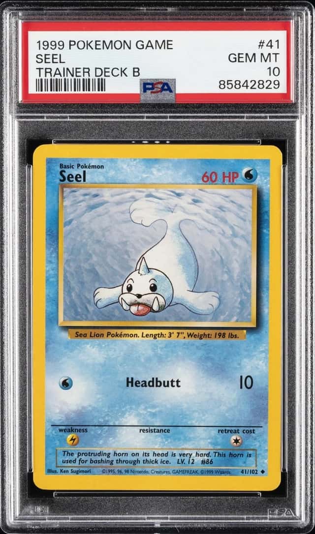 Seel