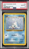 Seel