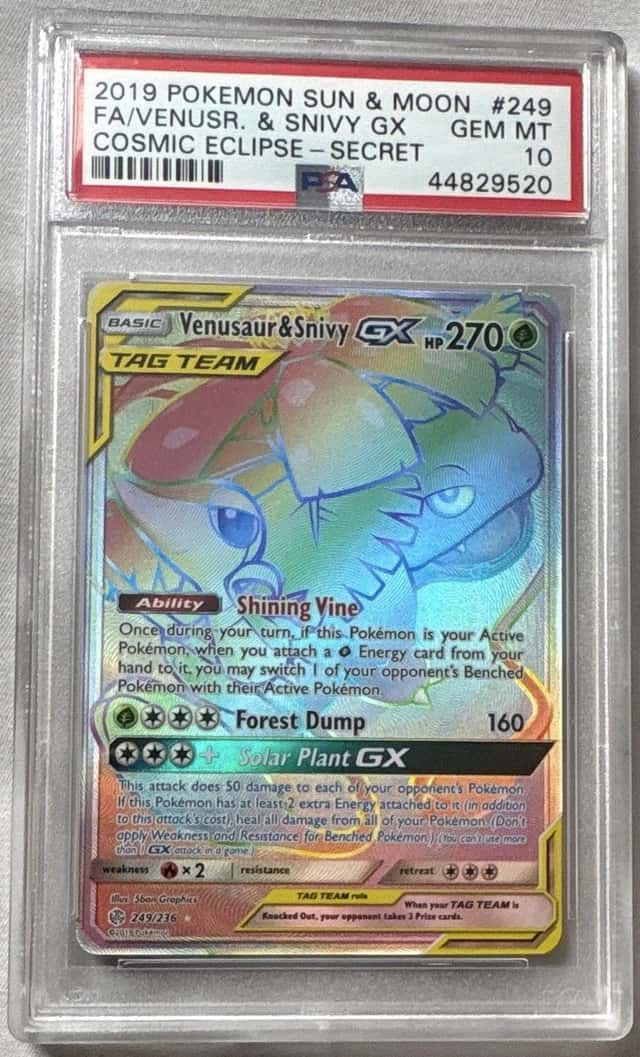 Venusaur & Snivy GX